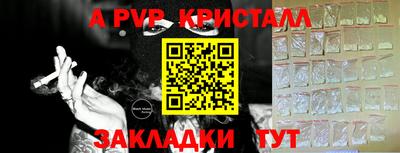 прущие грибы Владивосток