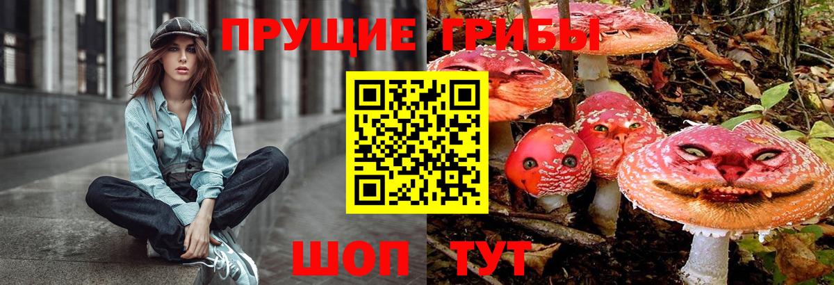 Верхний Уфалей  Галлюциногенные грибы Cubensis  Вход с VPN  Галлюциногенные грибы Psilocybe 