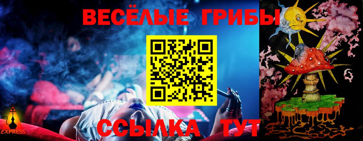 Псилоцибиновые грибы MAGIC MUSHROOMS Верхний Уфалей